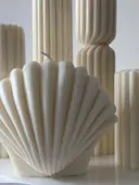 Миниатюра Shelly 4