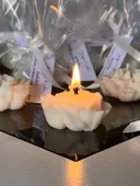 Миниатюра Little bloom 5 шт 4