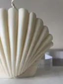 Миниатюра Shelly 2