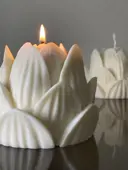 Миниатюра Lotus flower  1