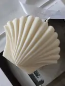 Миниатюра Shelly 3