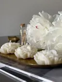 Миниатюра Little bloom 5 шт 3