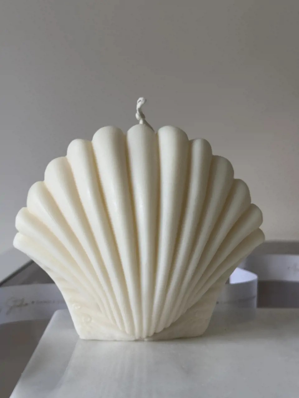 Shelly — изображение 1