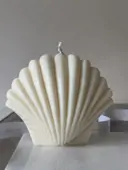 Миниатюра Shelly 1